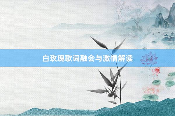 白玫瑰歌词融会与激情解读