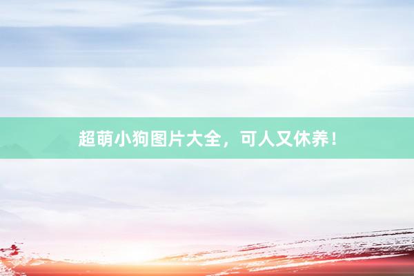 超萌小狗图片大全，可人又休养！